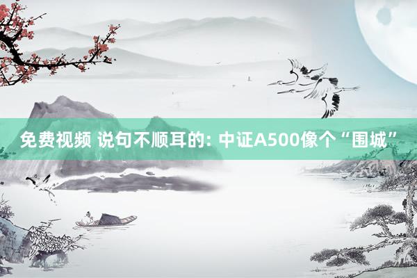 免费视频 说句不顺耳的: 中证A500像个“围城”