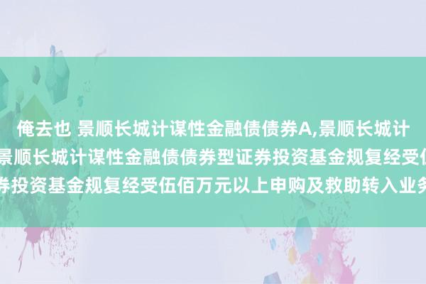 俺去也 景顺长城计谋性金融债债券A，景顺长城计谋性金融债债券C: 对于景顺长城计谋性金融债债券型证券投资基金规复经受伍佰万元以上申购及救助转入业务的公告