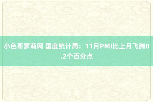 小色哥萝莉网 国度统计局：11月PMI比上月飞腾0.2个百分点