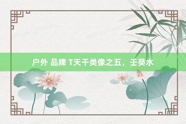 户外 品牌 T天干类像之五，壬癸水