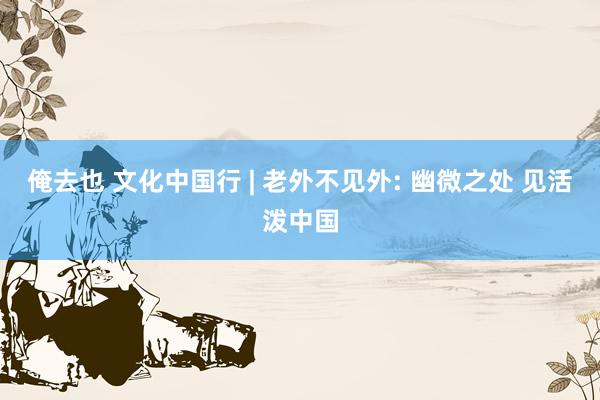 俺去也 文化中国行 | 老外不见外: 幽微之处 见活泼中国