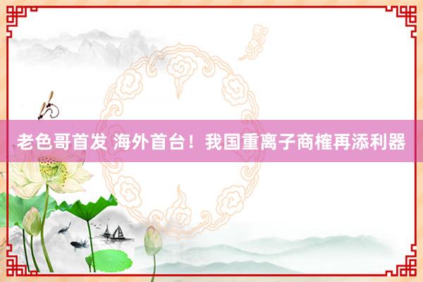 老色哥首发 海外首台！我国重离子商榷再添利器