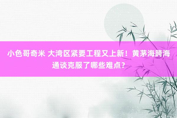 小色哥奇米 大湾区紧要工程又上新！黄茅海跨海通谈克服了哪些难点？