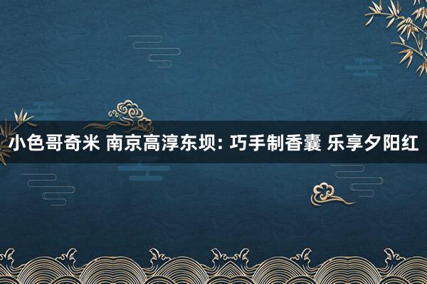 小色哥奇米 南京高淳东坝: 巧手制香囊 乐享夕阳红