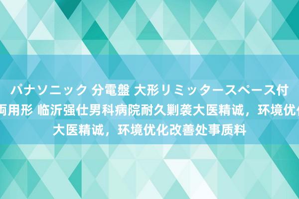 パナソニック 分電盤 大形リミッタースペース付 露出・半埋込両用形 临沂强仕男科病院耐久剿袭大医精诚，环境优化改善处事质料
