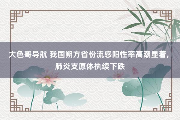 大色哥导航 我国朔方省份流感阳性率高潮显着， 肺炎支原体执续下跌