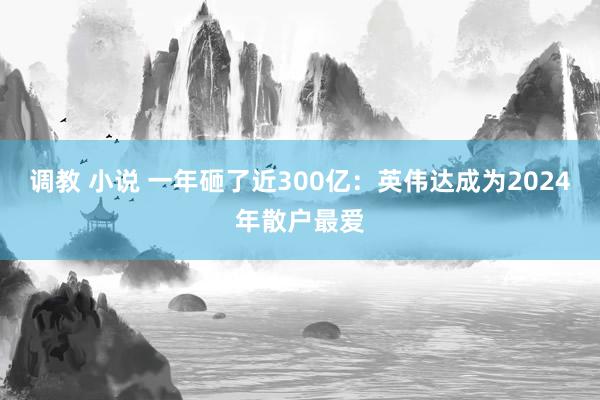 调教 小说 一年砸了近300亿：英伟达成为2024年散户最爱