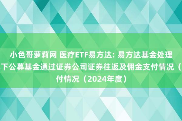 小色哥萝莉网 医疗ETF易方达: 易方达基金处理有限公司旗下公募基金通过证券公司证券往返及佣金支付情况(2024年度)